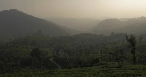 The sunset over Munnar tea fields Stock Footage 120054490