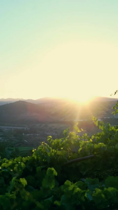Sunset over nature Stock Footage 246497077