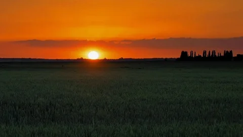 Sunset over nature lawn field with clouds Stock Footage 69998902
