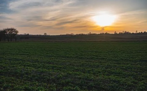 Sunset over nearly empty fields at the beginning of spring Foto stock