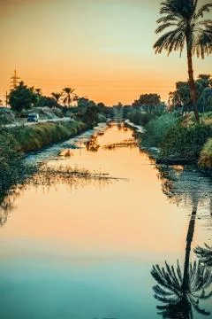 Sunset over the nile and between the palms Stock Photos