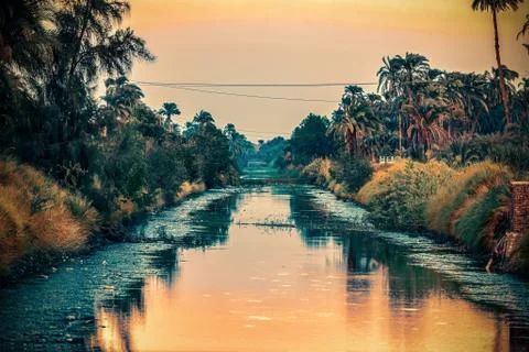 Sunset over the nile and between the palms Stock Photos
