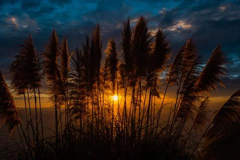 Sunset over the North Pacific. Foto stock
