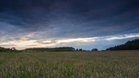 Sunset over oat field. 4k timelapse Stock Footage 58670308