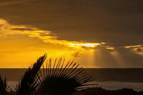 Sunset over the ocean with clouds and palm leaves at a coastal location Stock Photos
