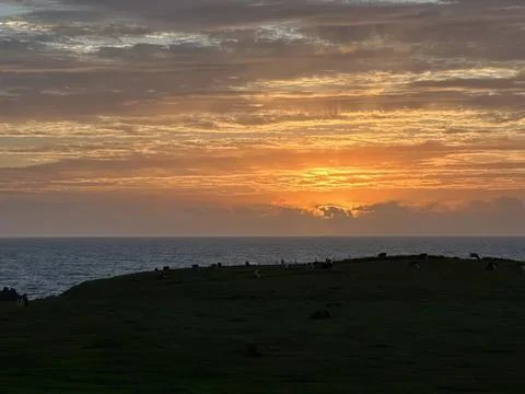 Sunset over ocean with cloudy sky and green hill Stock Photos