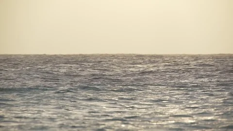 Sunset over the ocean Stock Footage 80222512