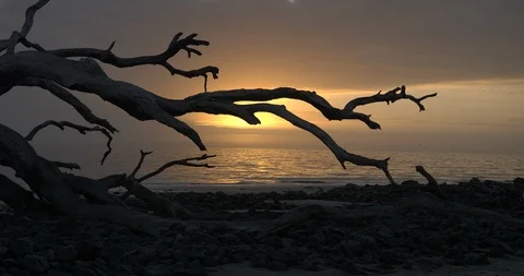 Sunset Over The Ocean Video stock 98222436