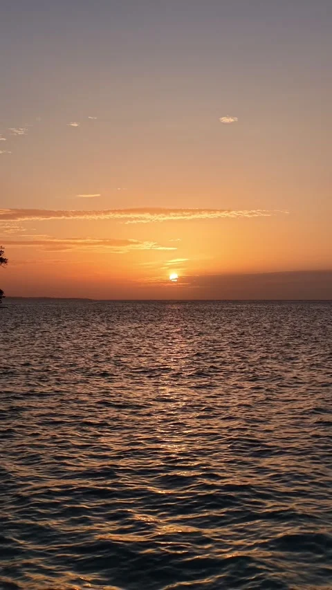 Sunset over the ocean Video stock 342130903