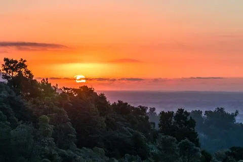 Sunset over the Ocean with forest foreground Stock Photos