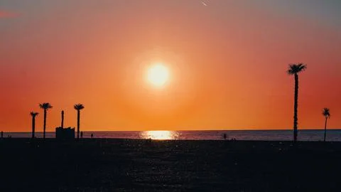 Sunset over ocean with palm trees silhouetted on beach shoreline Stock Photos