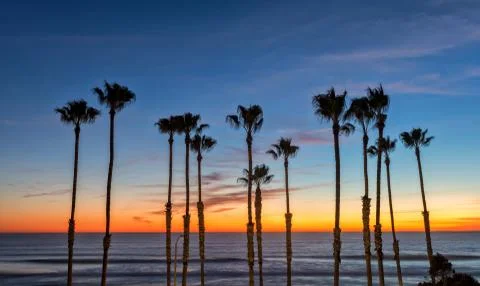 Sunset over the ocean with palms Stock Photos