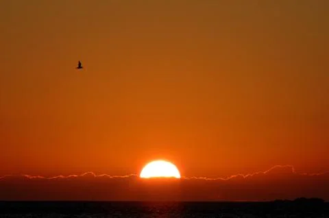 Sunset over ocean Фото