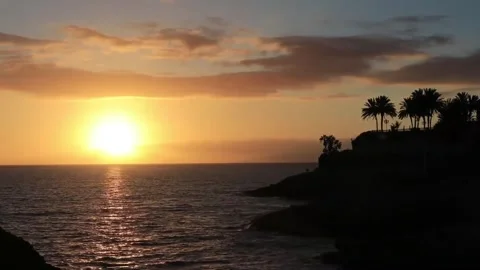 Sunset over the ocean with silhouetted palm trees and coastline. Stock Footage 302311559