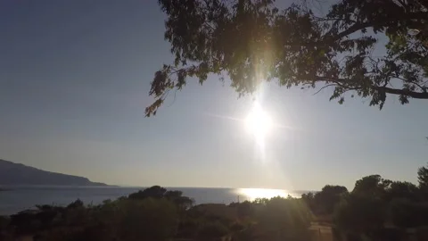 Sunset Over Ocean Sun Beautiful leaves Waves Stock Footage 176389519