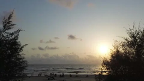 Sunset Over Ocean Through Beach Sheoak Stock Footage 274726481