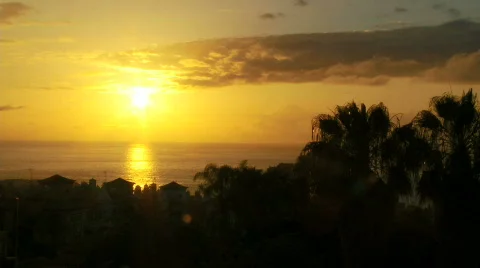 Sunset over ocean with town and palm trees in foreground. Stock Footage 375819