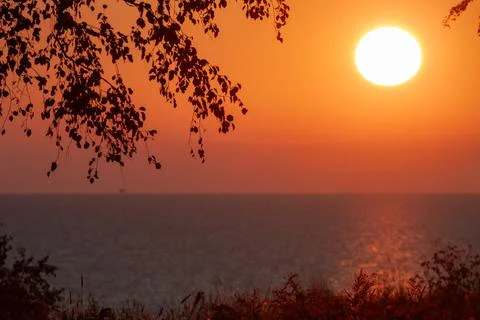 Sunset Over the Ocean with Trees Stock Photos