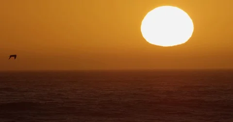 Sunset over ocean waves shot on red Stock-Footage 127121094