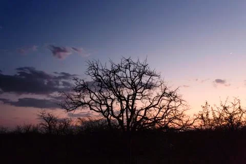 Sunset over the okavango delta in Botswana Stock Photos