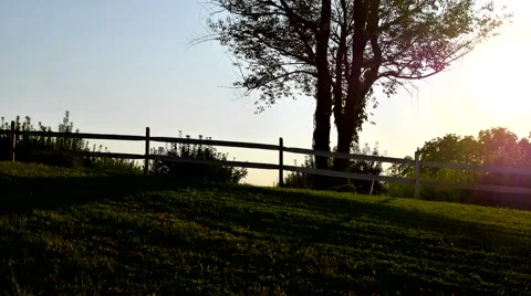 Sunset Over Orchard Video stock 67337820