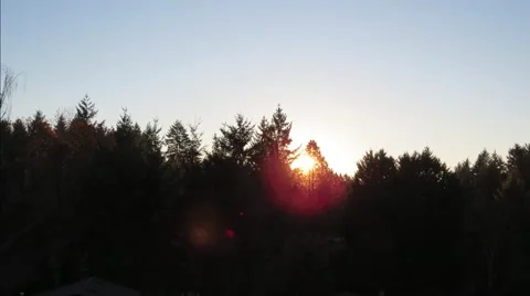 Sunset Over Oregon Trees in Fall Timelapse Stock Footage 57654125