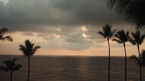 Sunset over Pacific Ocean with palm silhouettes timelapse Stock Footage 319467894