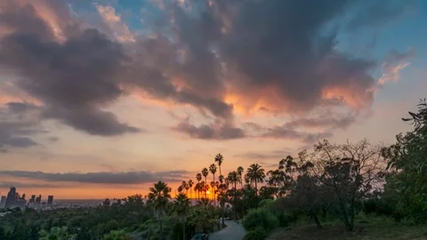 Sunset Over Palm Tree Row Stock Footage 296439182