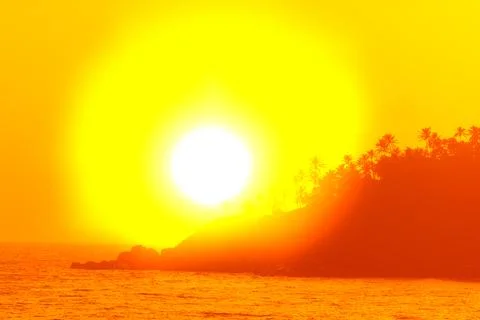 Sunset over palm trees Stock Photos