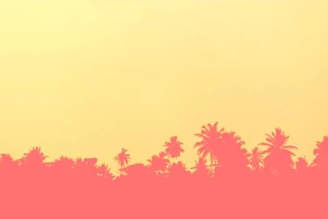 Sunset over palm trees Stock Photos