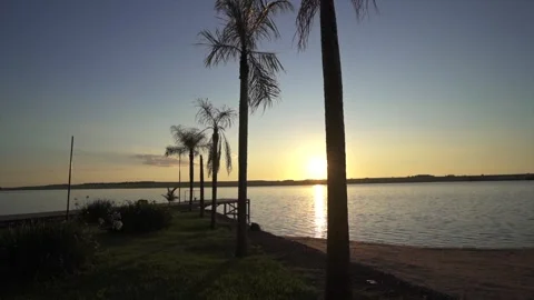 Sunset Over Paraná River with Palm Trees Vídeos de archivo 323068679
