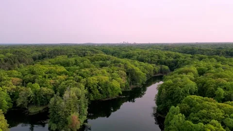 Sunset over the park. 4K video Stock Footage 246718297