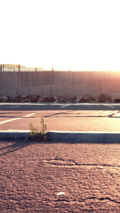 Sunset over a parking lot with shadows and light Stock-Footage 338381493