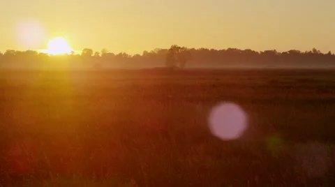 Sunset over pasture two Stock Footage 66561202