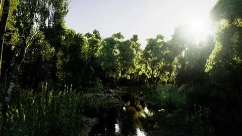 Sunset over peaceful river highlighting dramatic light and dark elements Stock Footage 342926772