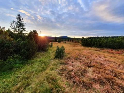 Sunset over peat bog in Sumava National Park. 写真素材