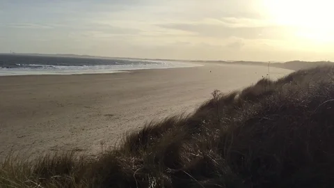Sunset over a perfect white sandy beach, waving grass, waves crash 動画素材 73543620