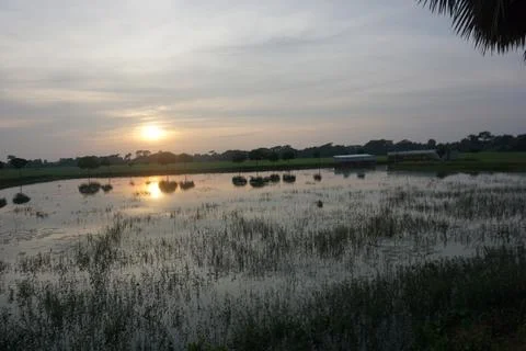 Sunset over Stock Photos
