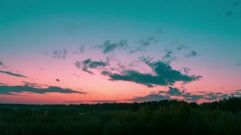 Sunset over a pine forest 库存影片 131090826