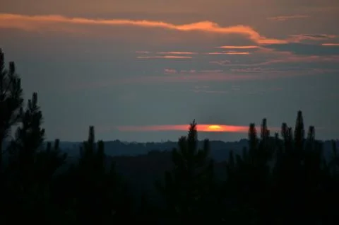 Sunset Over Pine Trees with Clouds Close Stock Photos