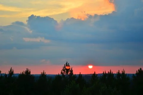 Sunset over Pine Trees with Coulds 写真素材