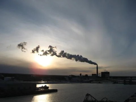 Sunset over the plant Stock Photos