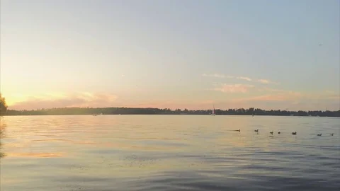 Sunset Over pond And Forest In Summer Timelapse Stock Footage 82051913