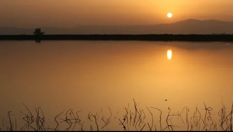 Sunset over the pond Stock Footage 10920279