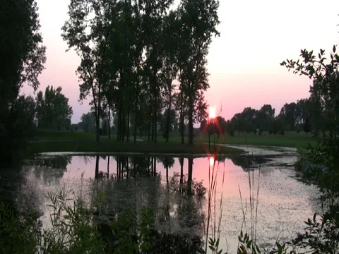 Sunset over pond Stock Footage 34569529