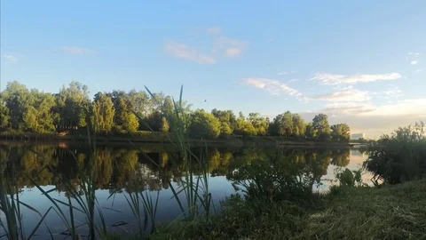 Sunset Over Pond In The Park In Summer Timelapse 스톡 동영상 81606938
