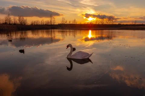 Sunset over a pond Stock Photos