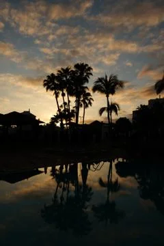 Sunset over pool with palm Stock Photos