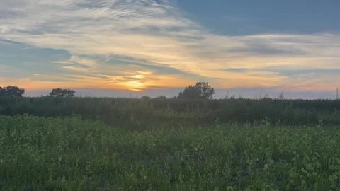 Sunset over prairie or field Stock-Footage 338372232