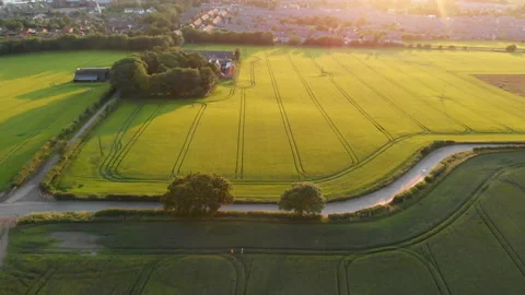 Sunset over rapeseed field Midlothian Scotland Stock Footage 136034887